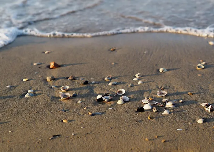 Renewed Two-roomed Flat With Swimming Pool *