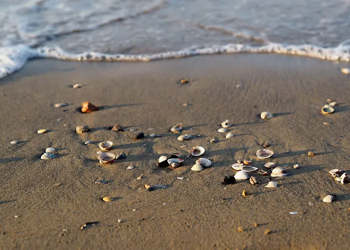 Renewed Two-roomed Flat With Swimming Pool * Бибионе